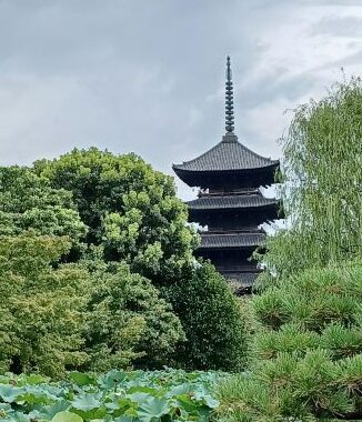 ８月の東寺